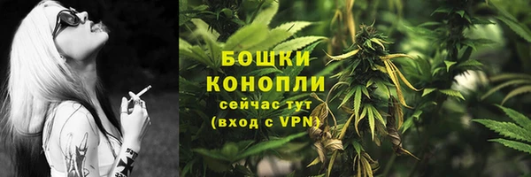 соль ск Костерёво
