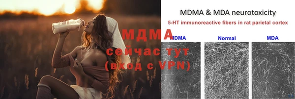 трава Корсаков