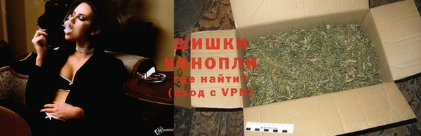трава Корсаков