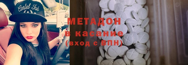 трава Корсаков