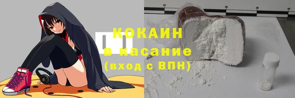 трава Корсаков