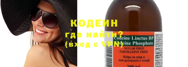 трава Корсаков