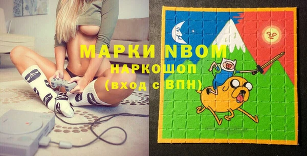 трава Корсаков