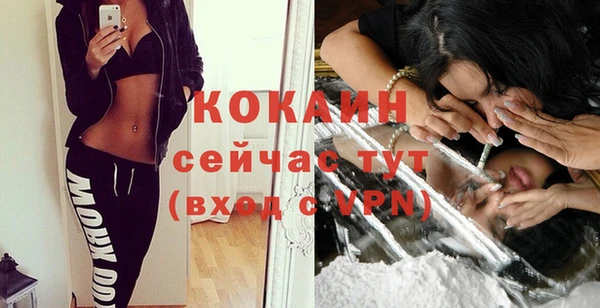 соль ск Костерёво