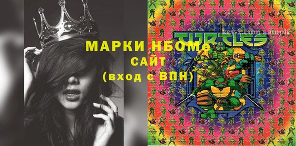 трава Корсаков