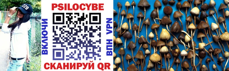 Псилоцибиновые грибы Psilocybe  Купить закладки  Нелидово 